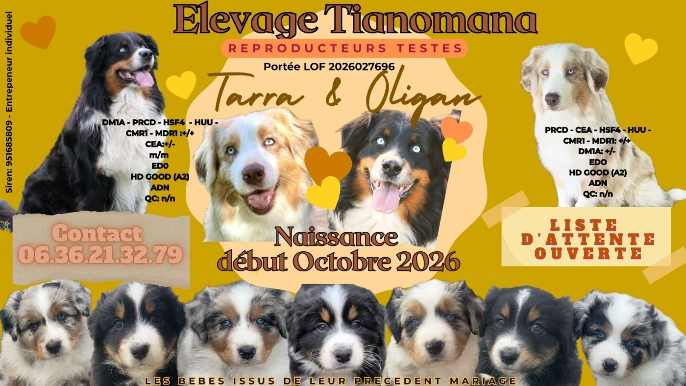 NAISSANCES PREVUES DEBUT OCTOBRE 2026 !