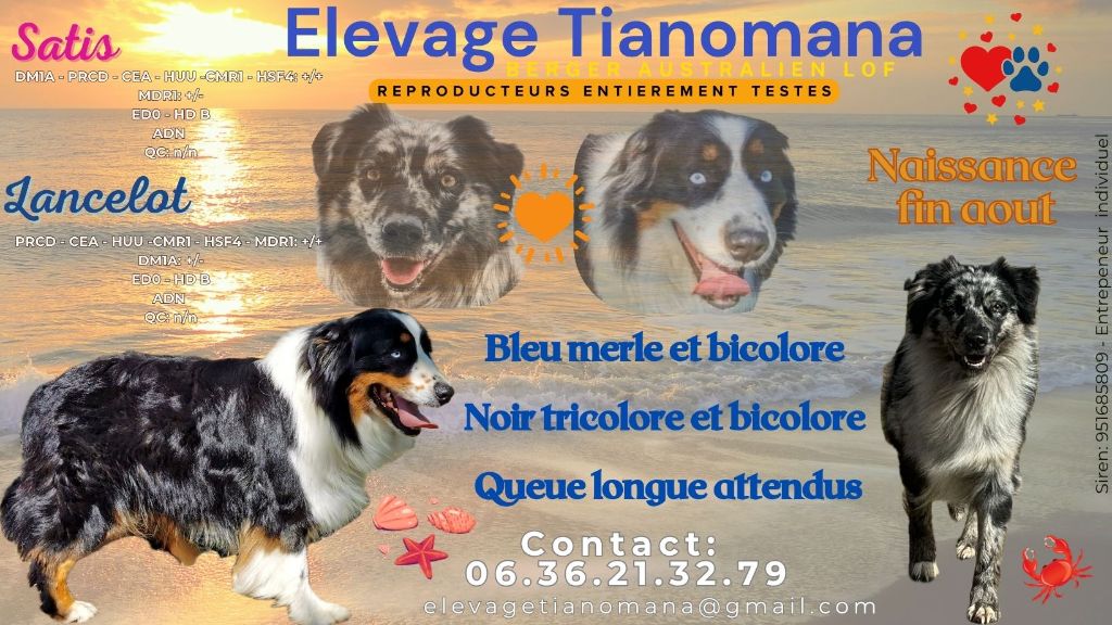 PROCHAINES NAISSANCES FIN AOUT 2025! 