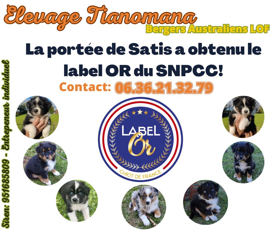LABEL OR POUR LA PORTEE DE SATIS!