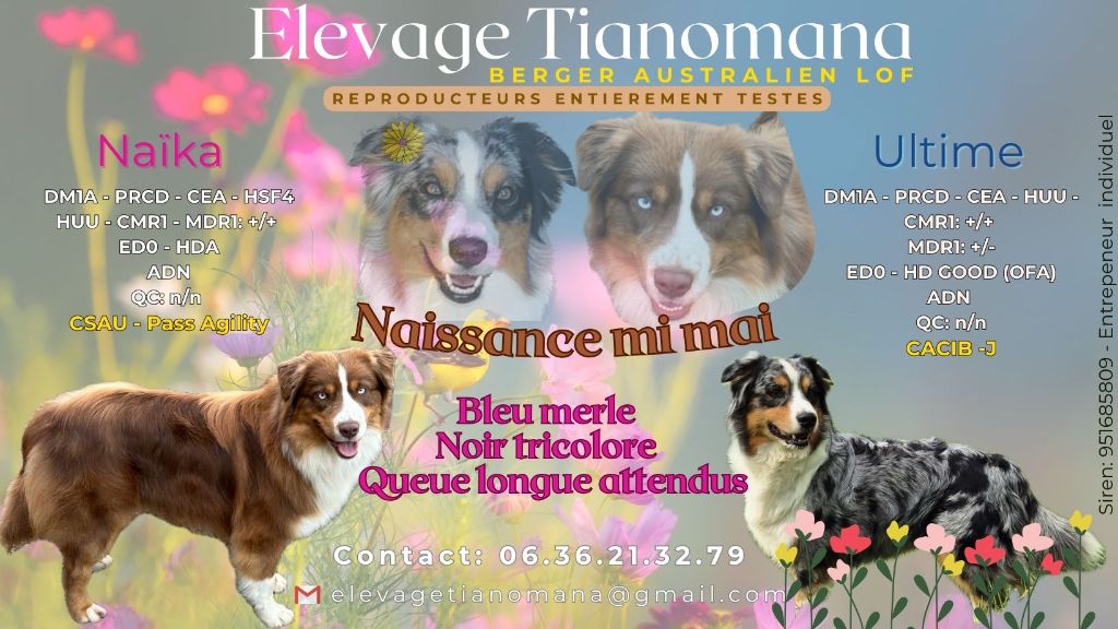 PROCHAINES NAISSANCES MAI 2025! 