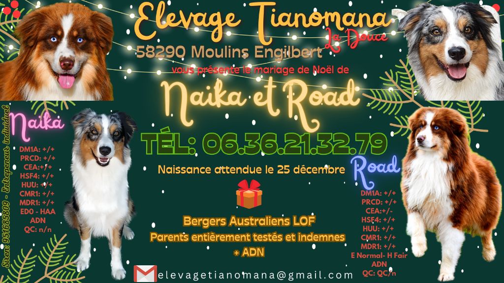 Tianomana La Douce - Nos bébés arrivent à Noël 2023!