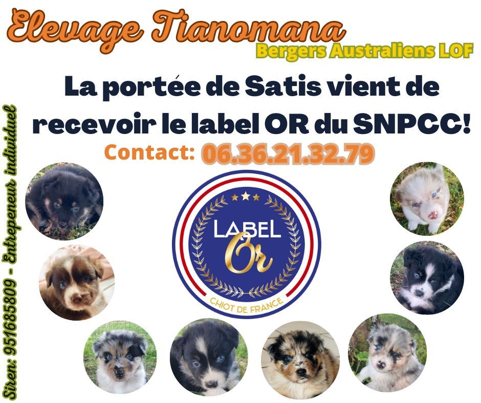 LABEL OR POUR LA PORTEE DE SATIS!